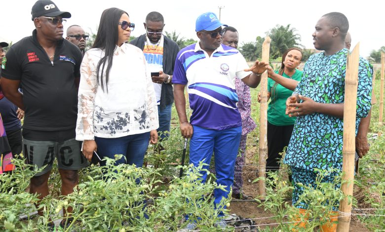 Photo of How a Nigerian Govt Agency Plans to Improve Food Security, Empower Young Farmers